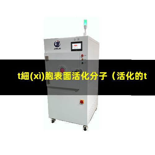 t細(xì)胞表面活化分子