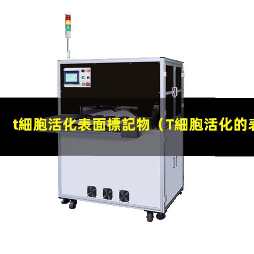 t細胞活化表面標記物