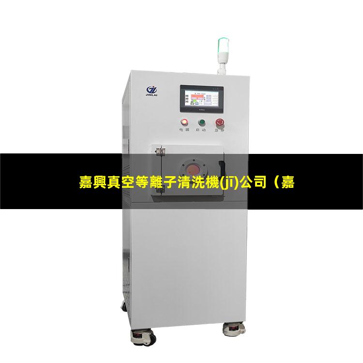 嘉興真空等離子清洗機(jī)公司
