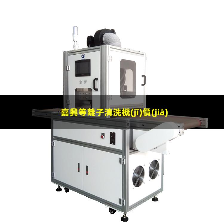 嘉興等離子清洗機(jī)價(jià)格