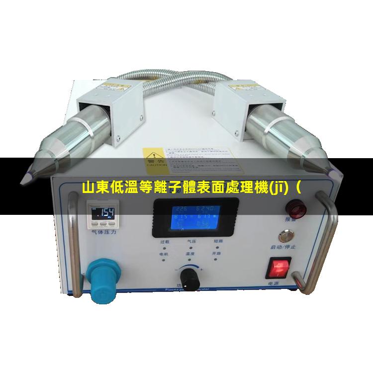 山東低溫等離子體表面處理機(jī)