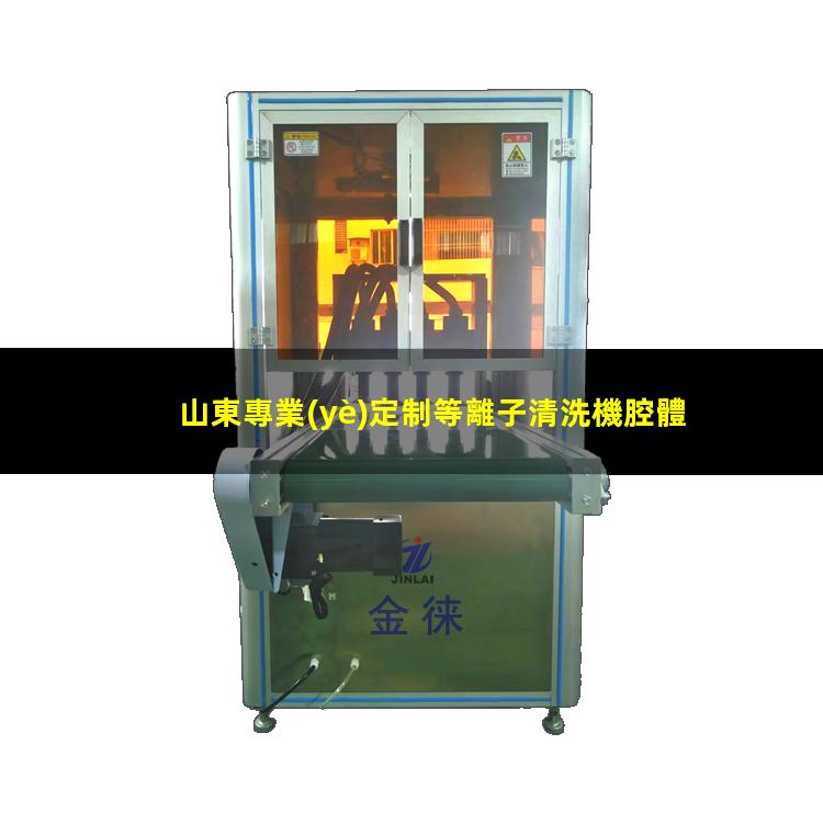 山東專業(yè)定制等離子清洗機腔體銷售廠家