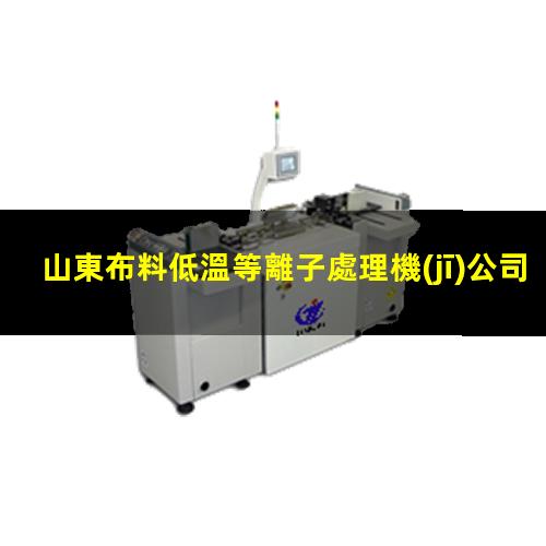 山東布料低溫等離子處理機(jī)公司