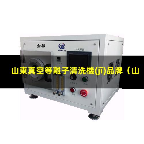 山東真空等離子清洗機(jī)品牌