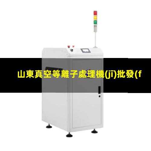 山東真空等離子處理機(jī)批發(fā)商