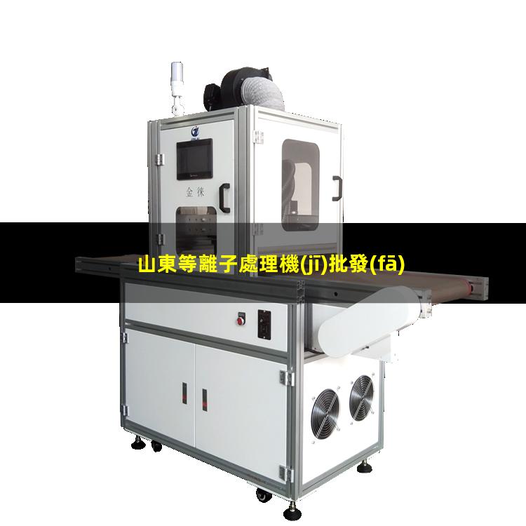 山東等離子處理機(jī)批發(fā)