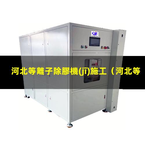 河北等離子除膠機(jī)施工