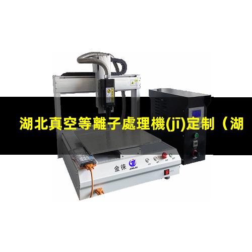湖北真空等離子處理機(jī)定制