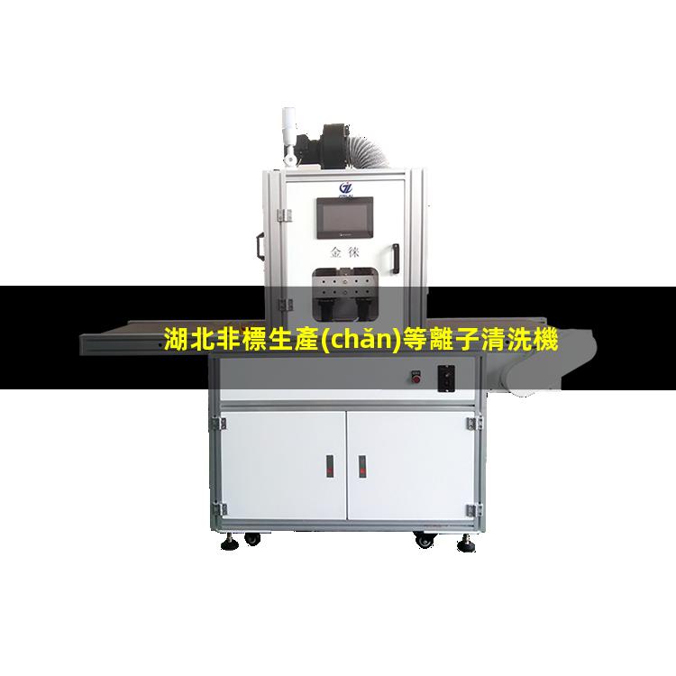 湖北非標生產(chǎn)等離子清洗機腔體專業(yè)團隊