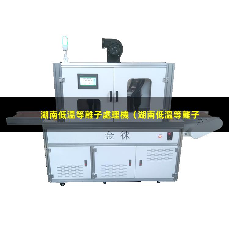 湖南低溫等離子處理機