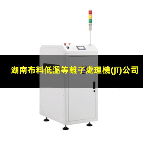 湖南布料低溫等離子處理機(jī)公司