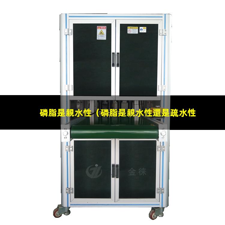 磷脂是親水性