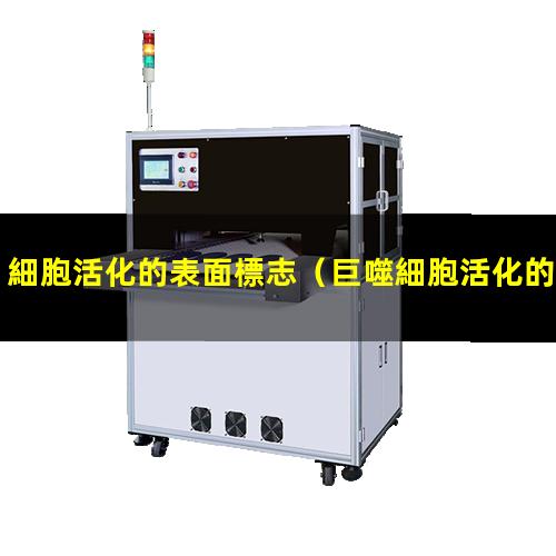 細胞活化的表面標志
