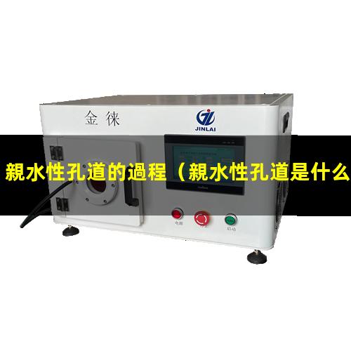 親水性孔道的過程