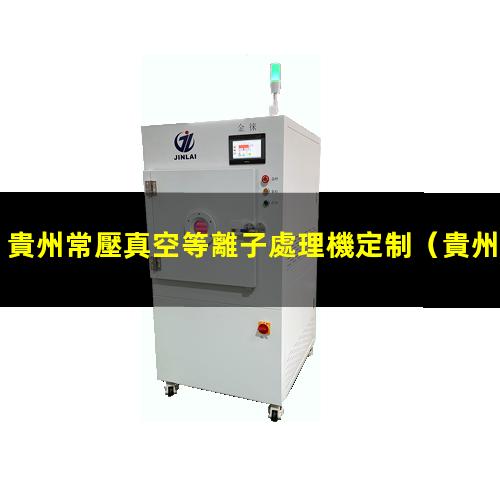貴州常壓真空等離子處理機定制