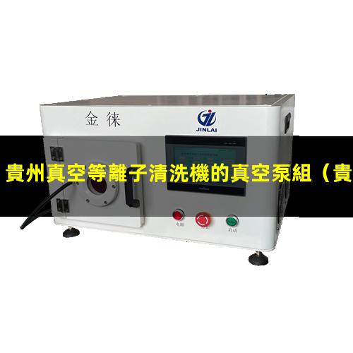 貴州真空等離子清洗機的真空泵組
